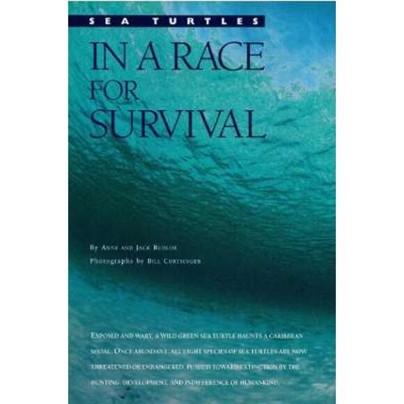 National Geographic Magazine FEB 1994 Canada Rivers, Federal Lands, Connecticut - Picture 6 of 15